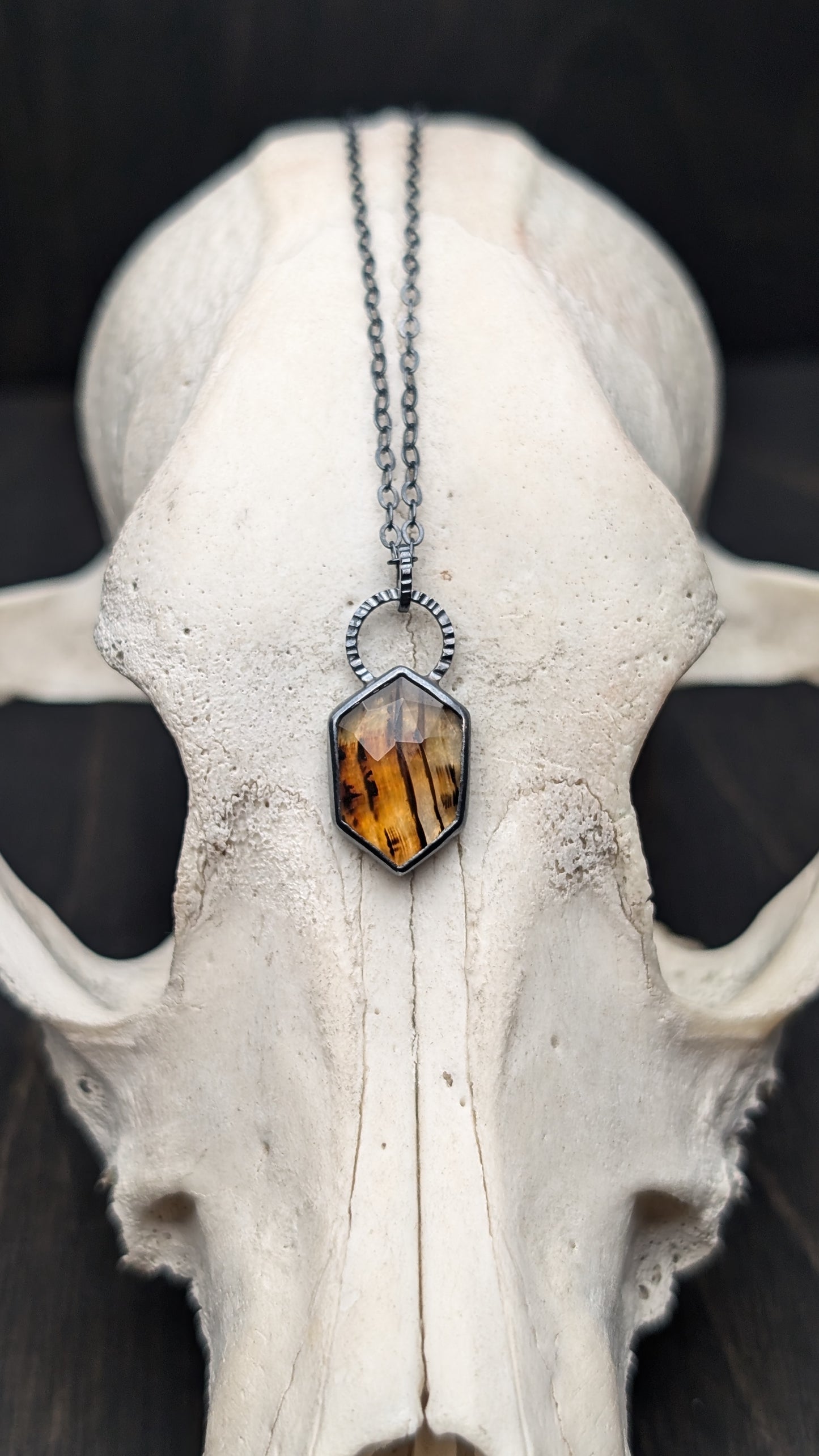 Montana Agate Rose Cut Hexagon Textured Sterling Silver Necklace