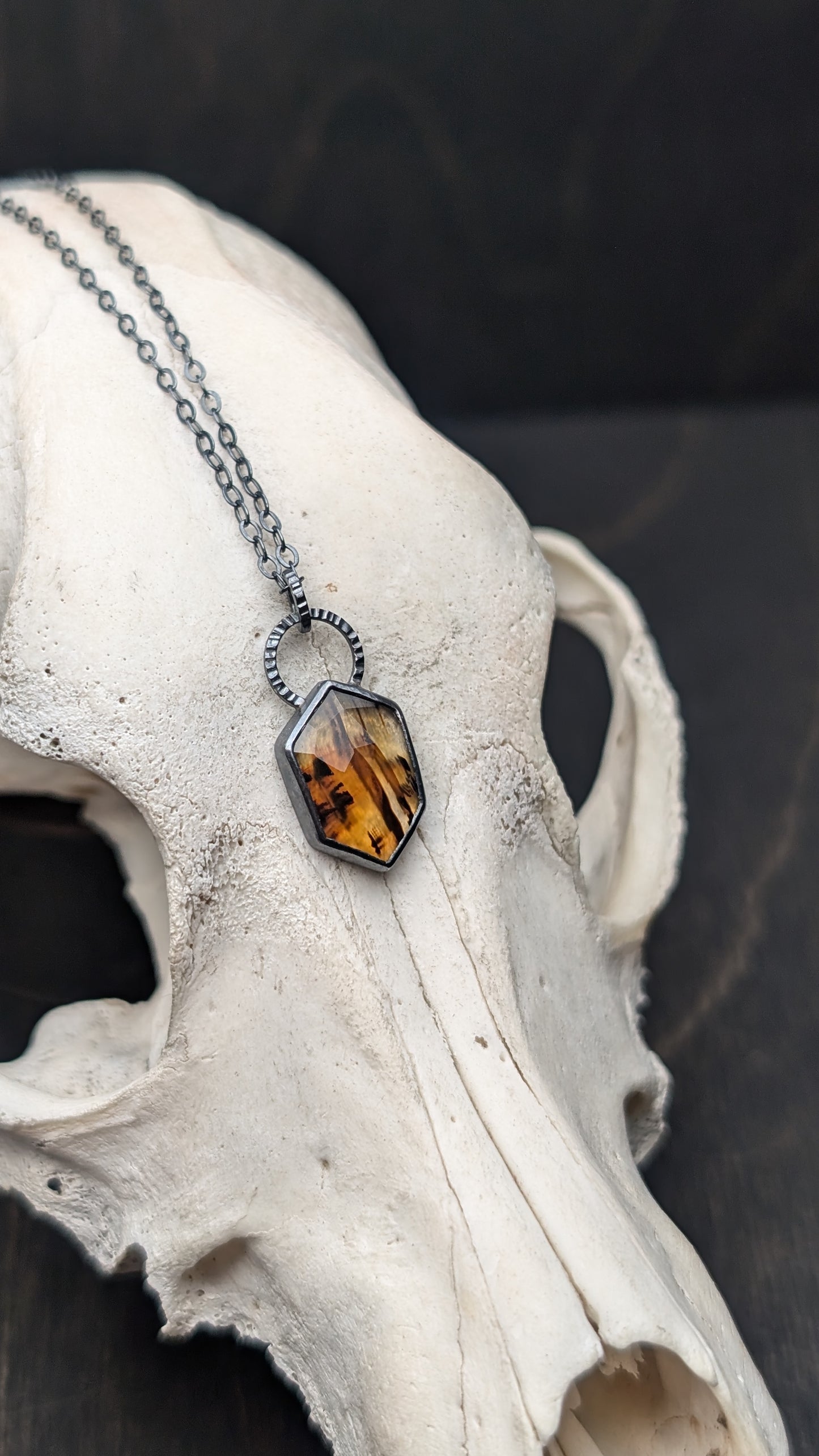 Montana Agate Rose Cut Hexagon Textured Sterling Silver Necklace