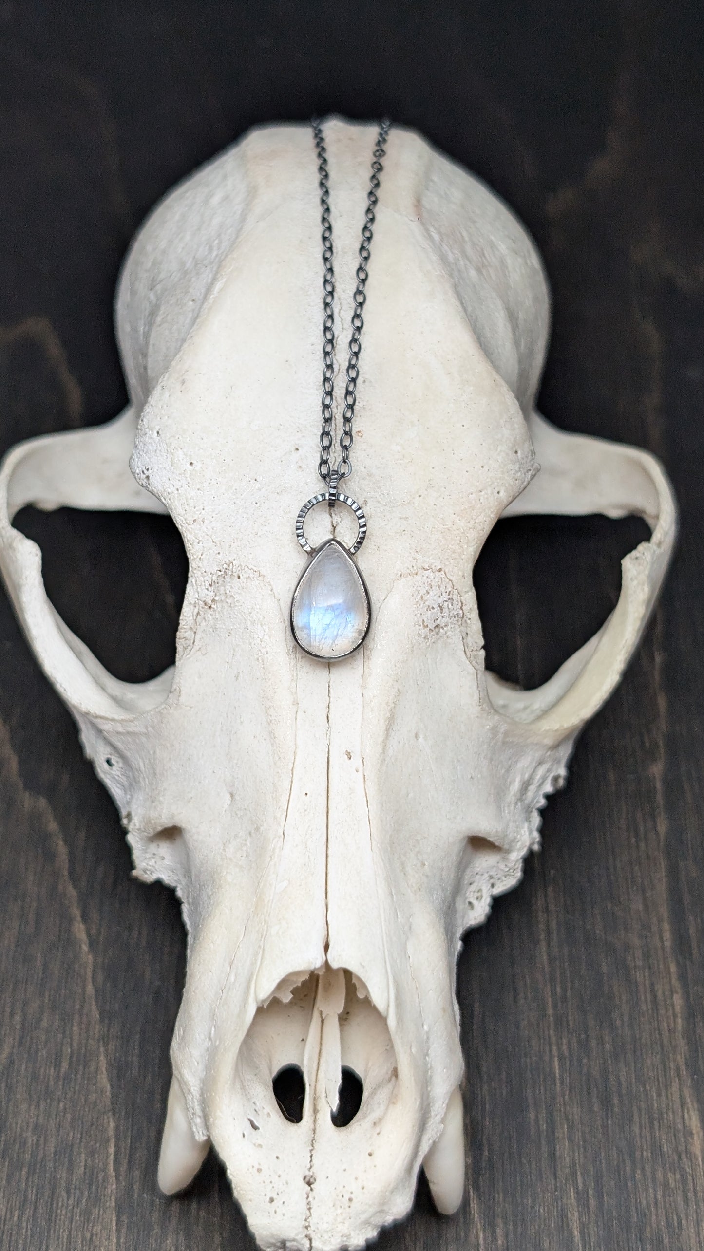 Teardrop Rainbow Moonstone Textured Sterling Silver Necklace