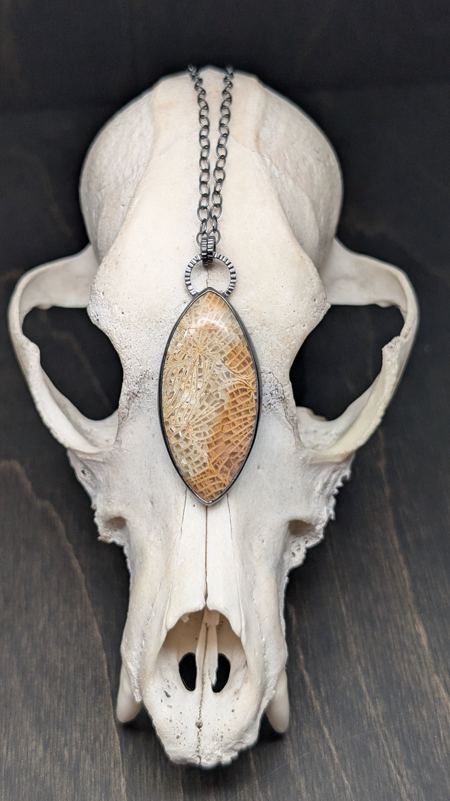 XL Fossilized Coral Textured Sterling Silver Necklace