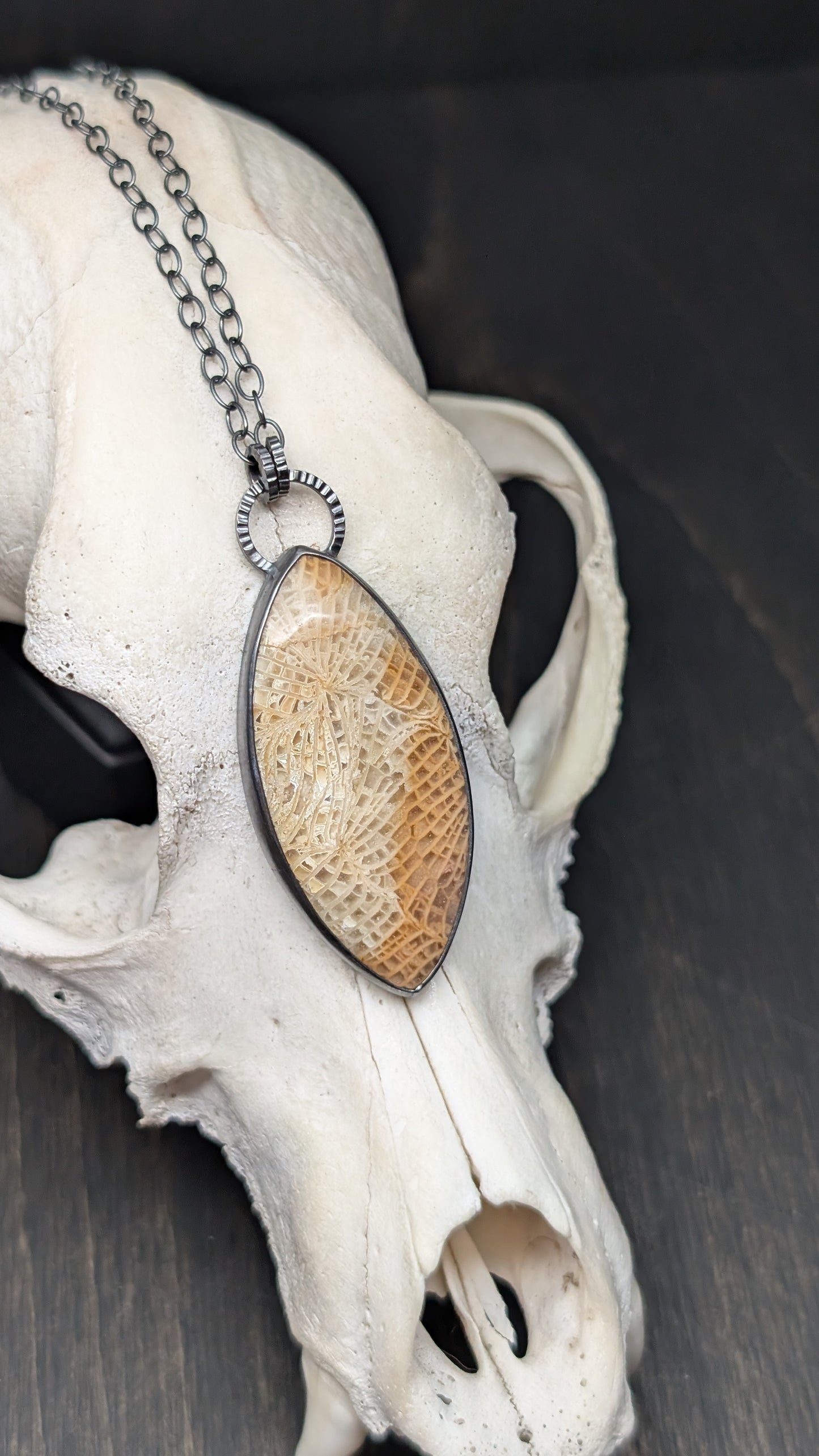XL Fossilized Coral Textured Sterling Silver Necklace
