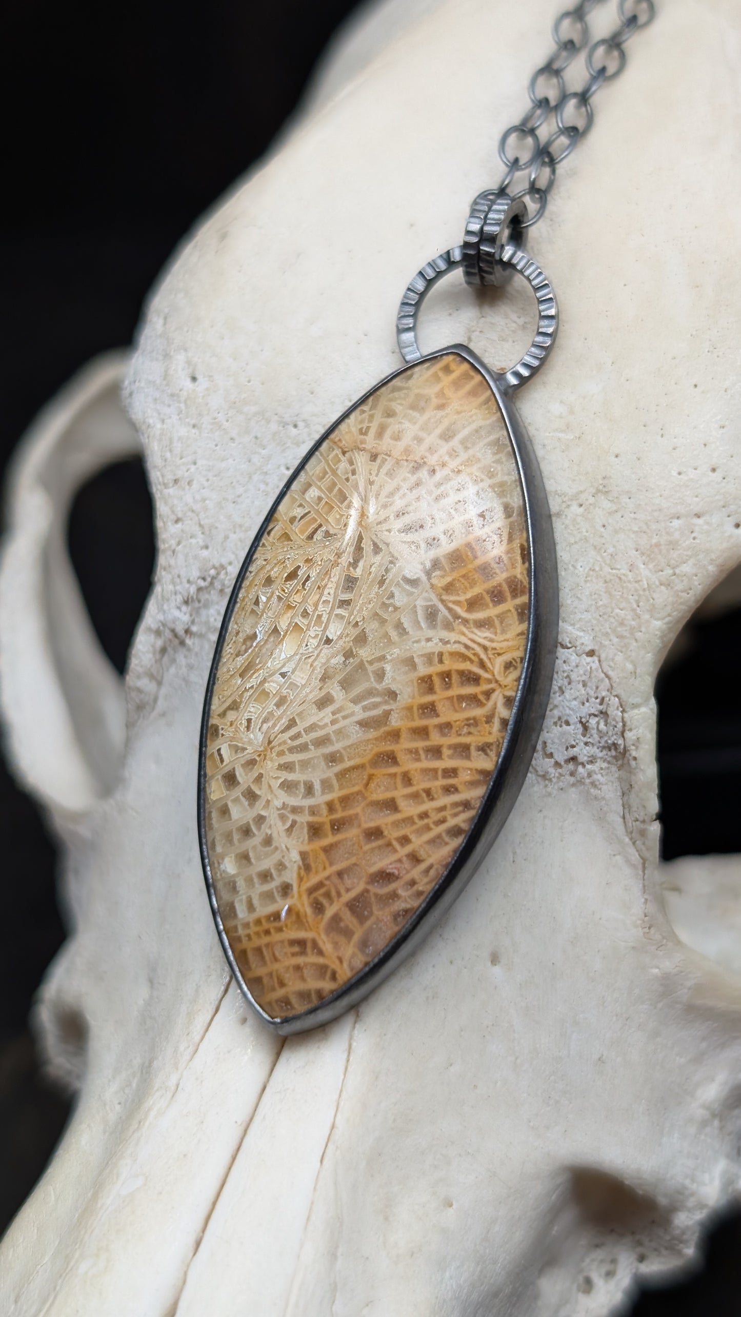 XL Fossilized Coral Textured Sterling Silver Necklace