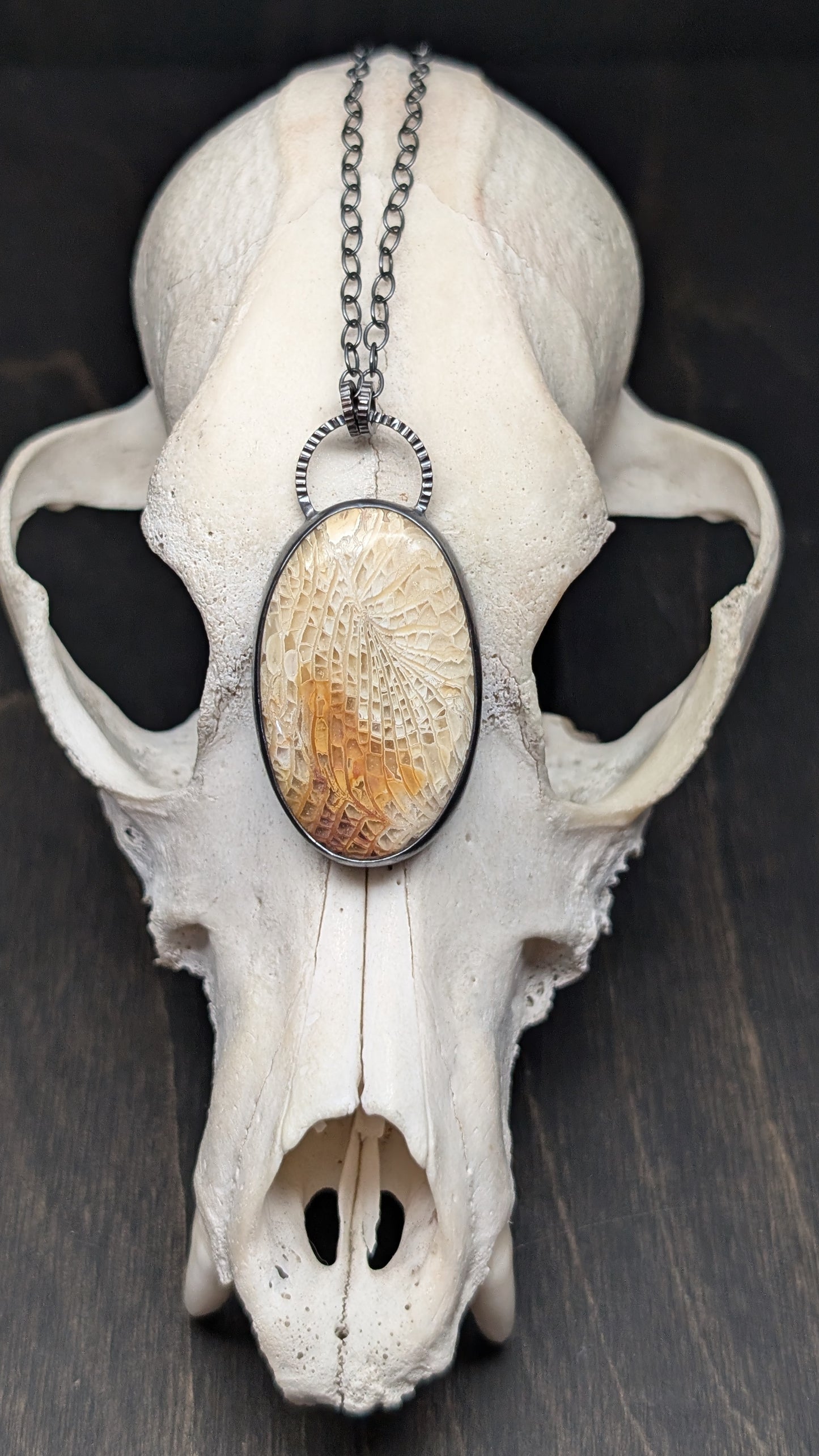 XL Fossilized Coral Textured Sterling Silver Necklace