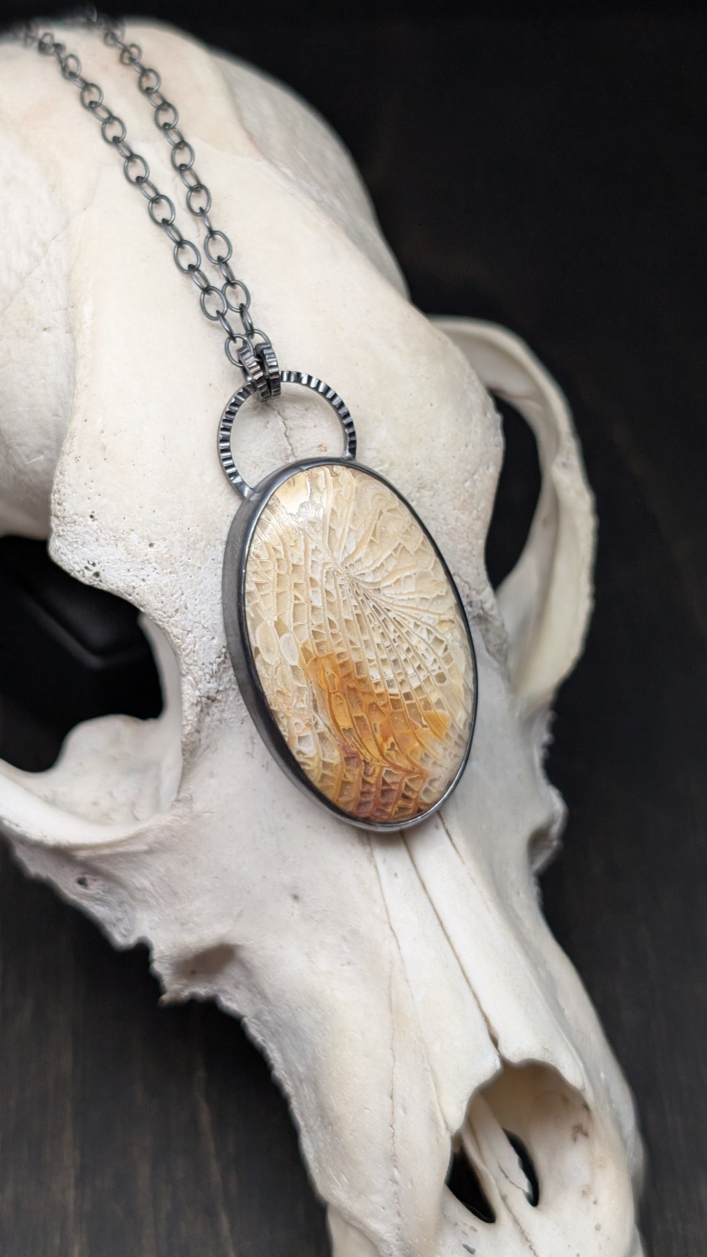 XL Fossilized Coral Textured Sterling Silver Necklace