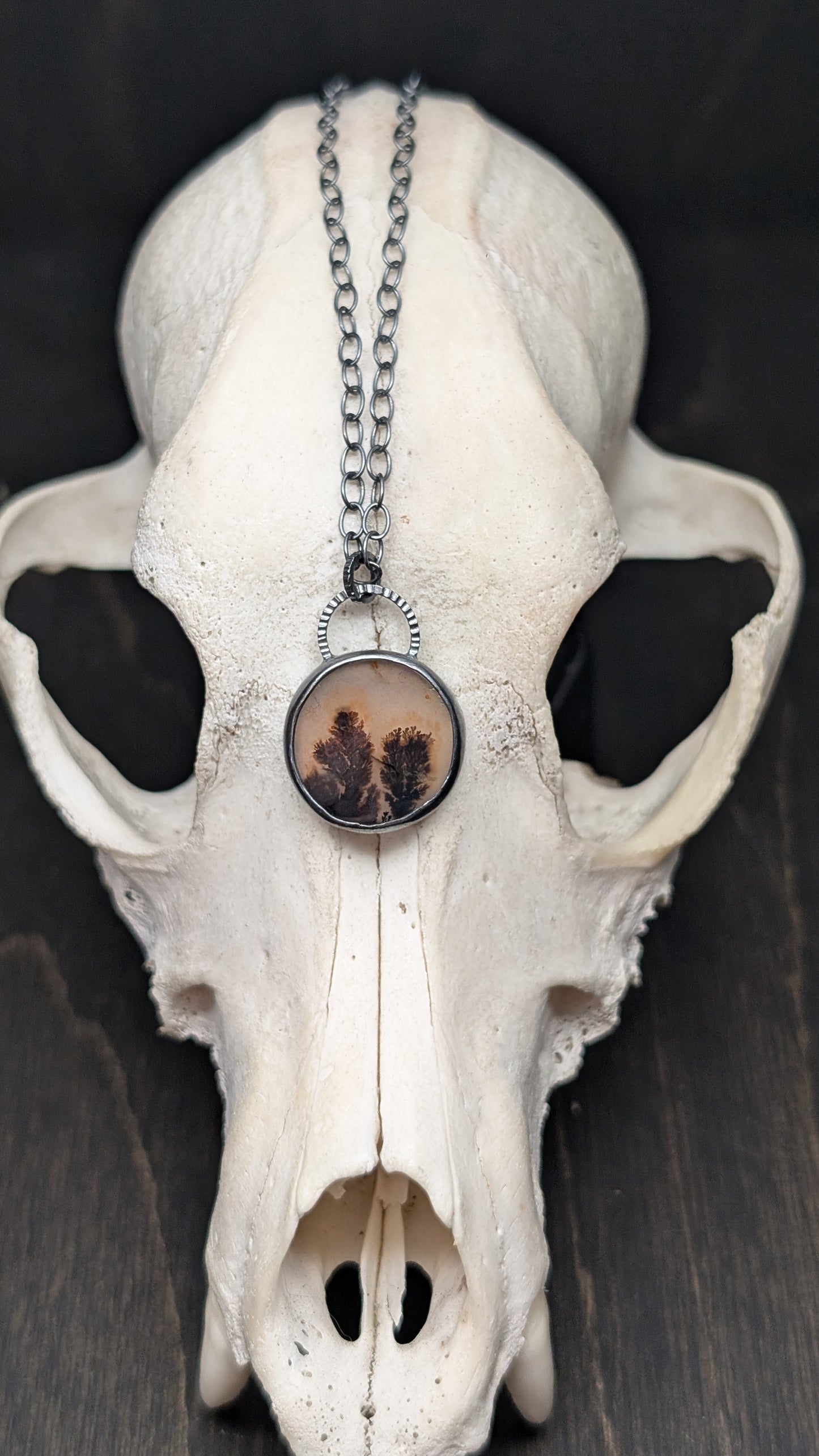 Dendritic Agate Round Slice Textured Sterling Silver Necklace