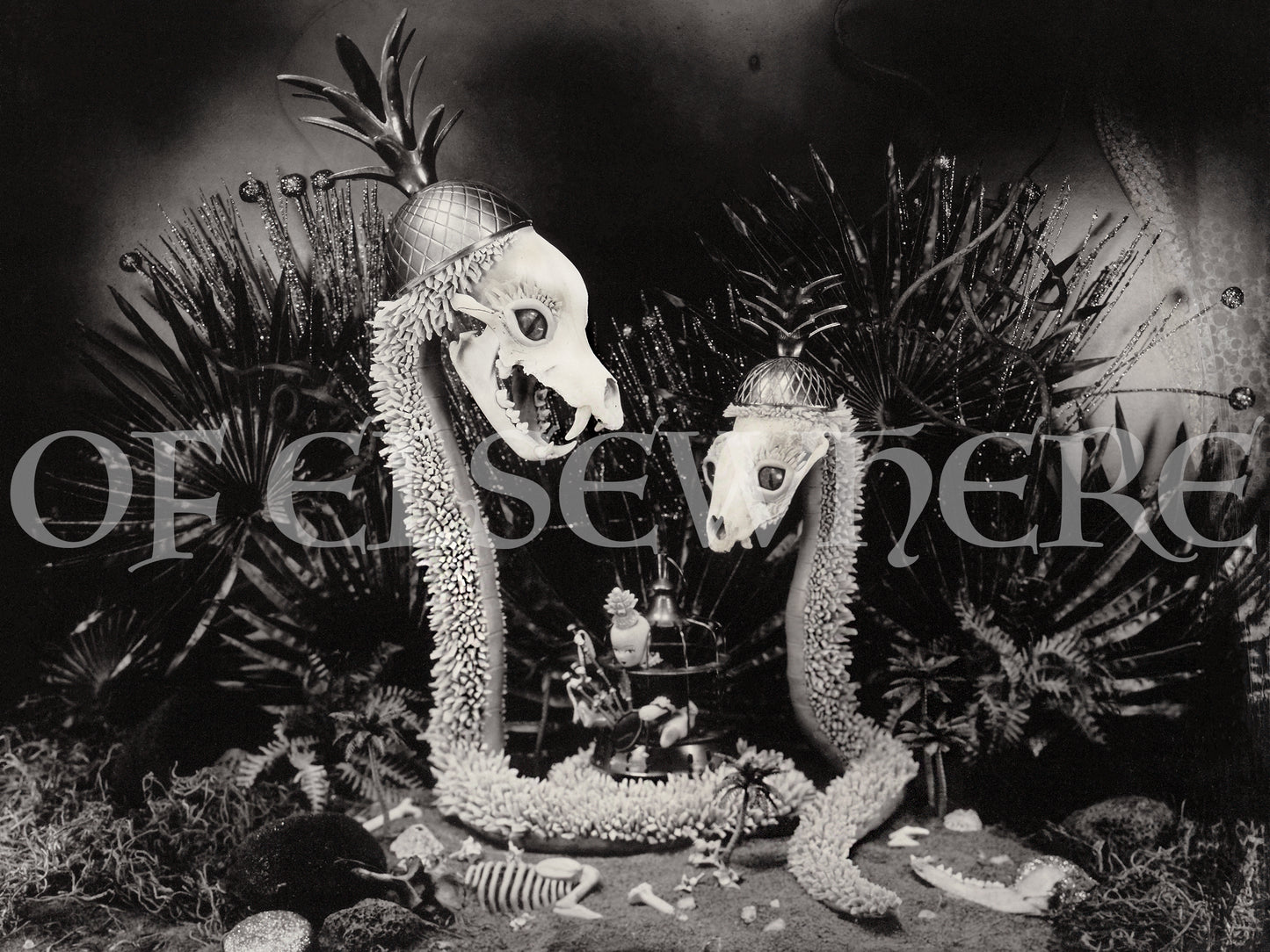 "Trouble in Paradise" Fine Art Print