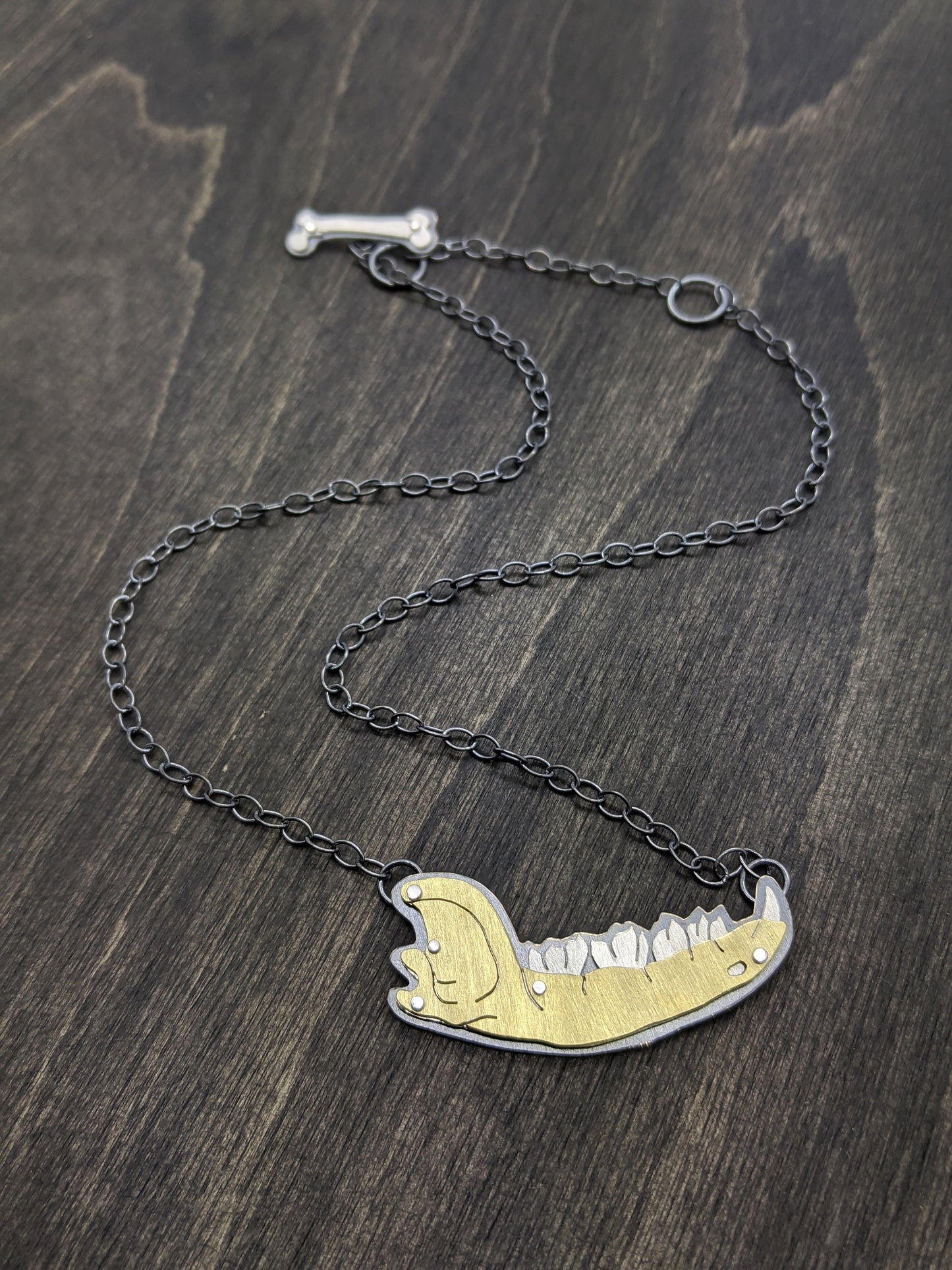 Raccoon Jaw Riveted Animal Bone Necklace