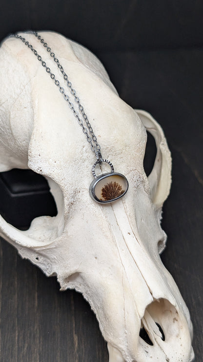 Dendritic Agate Oval Slice Textured Sterling Silver Necklace