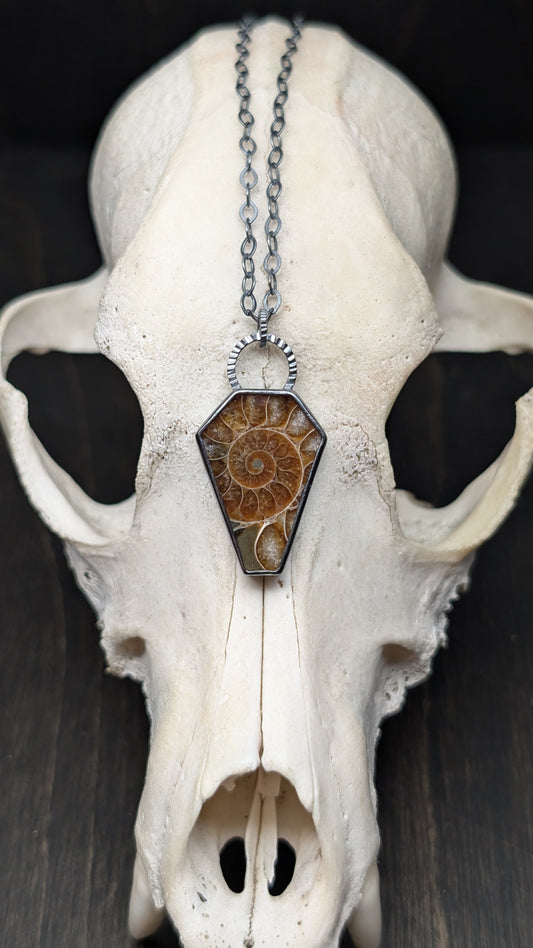 Ammonite Coffin Textured Sterling Silver Necklace