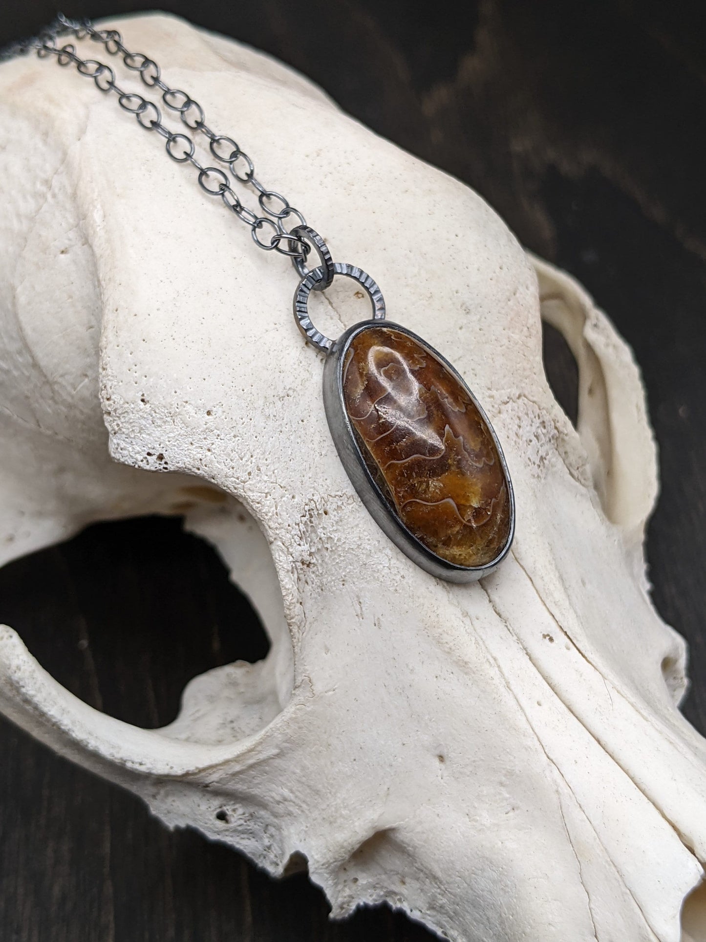 Fossilized Ammonite Textured Sterling Silver Necklace