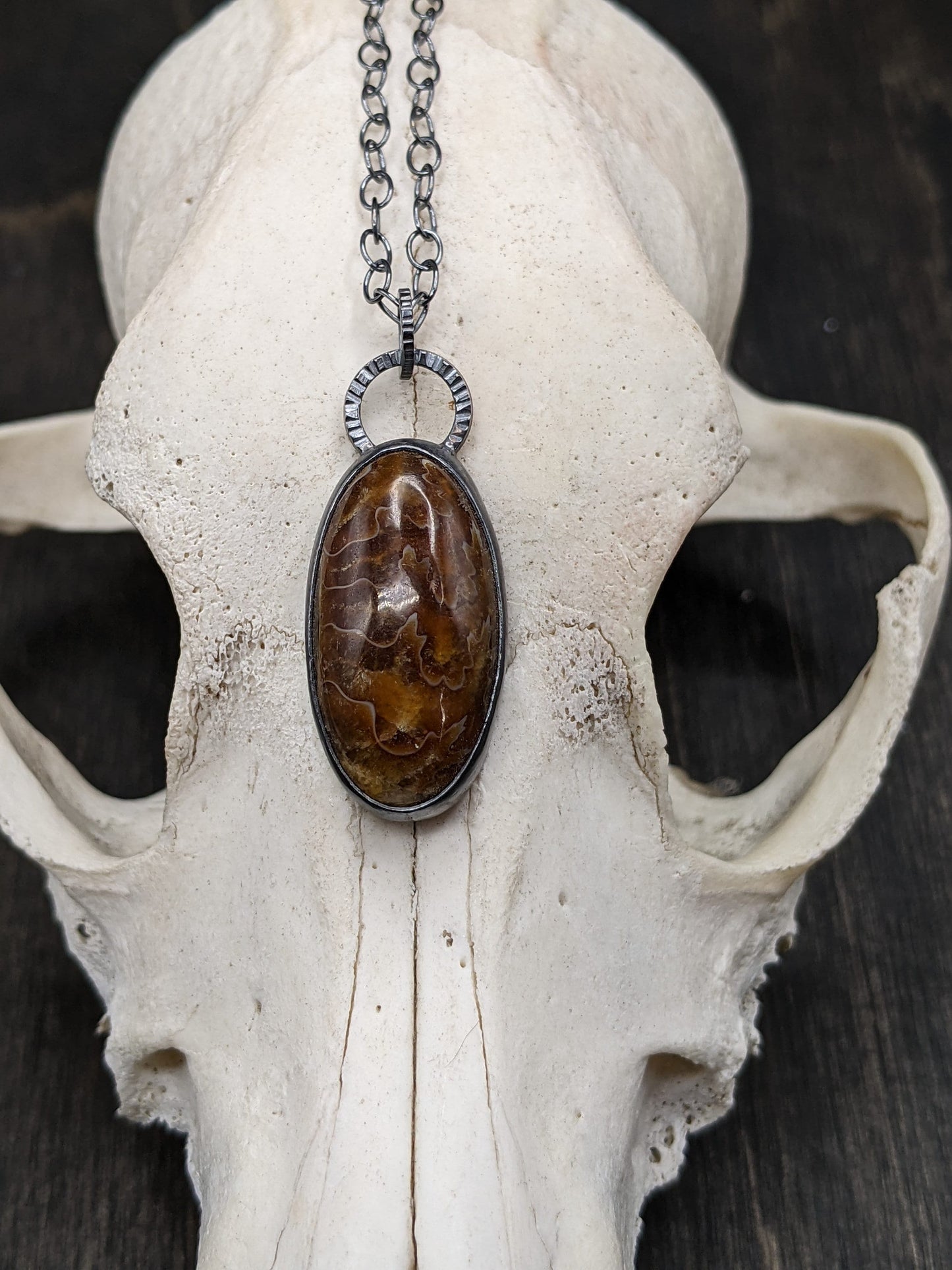 Fossilized Ammonite Textured Sterling Silver Necklace