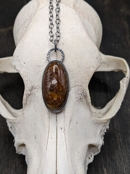 Fossilized Ammonite Textured Sterling Silver Necklace