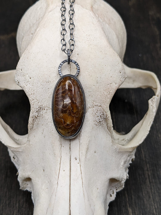 Fossilized Ammonite Textured Sterling Silver Necklace