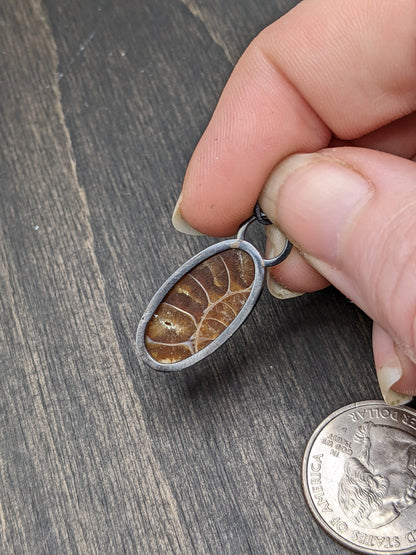 Fossilized Ammonite Textured Sterling Silver Necklace
