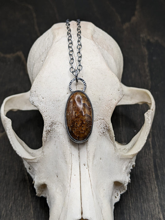 Fossilized Ammonite Textured Sterling Silver Necklace